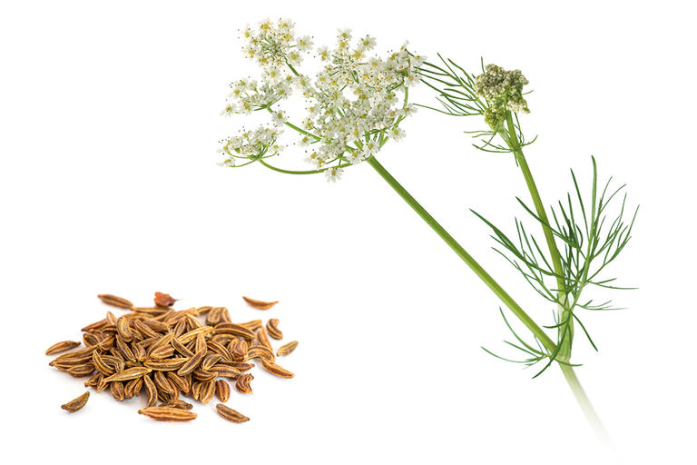 Gaspan® hilft bei Verdauungsstörungen | Schwabe Pharma CH