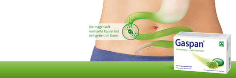 Gaspan-Bauch-mit angedeutetem Darm-Kapsel geht durch Darm-Gaspan Packshot