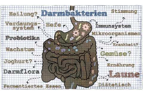 zeichnung-eines-darms-darmbakterien-gaspan-schwabe-pharma
